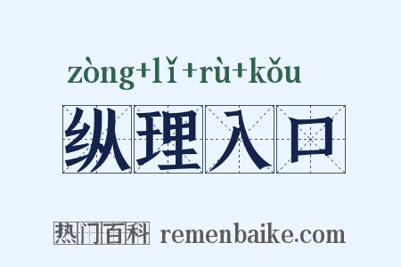 纵理入口是什么意思的图片